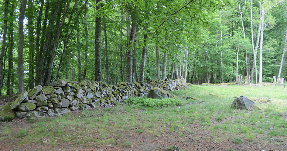 A green meadow with a stone wall and forest in the background.