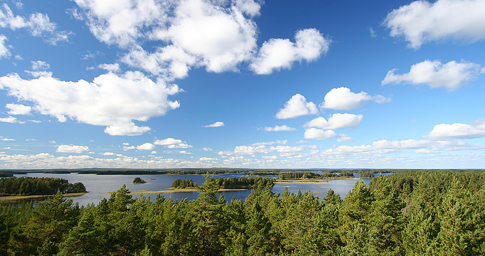 Clear blue sky with white clouds over treetops and river landscape.