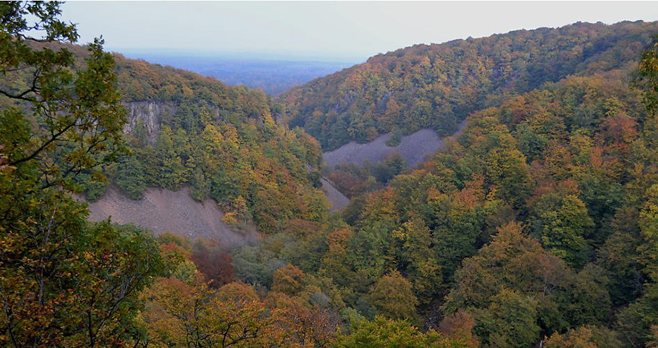 View from Kopparhatten over a autumn coloured rift valley